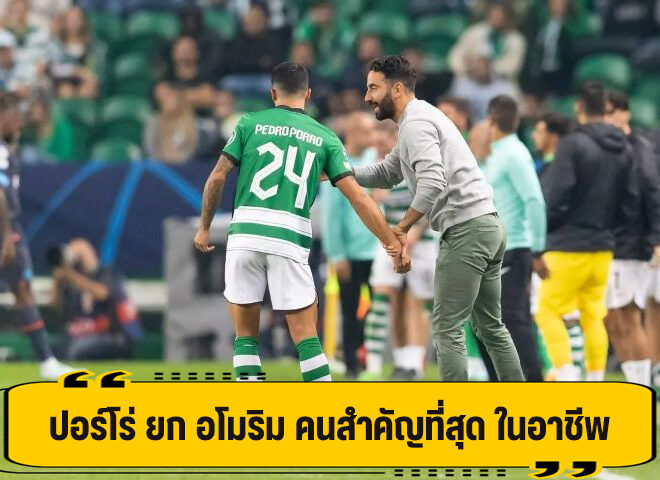 ปอร์โร่ รับ มีวันนี้ เพราะ อโมริม