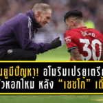 แมนยูมีปัญหา! อโมริมเปรยเตรียมล่าหัวหอกใหม่เดือนมกราคม หลัง “เชชโก้” เดี้ยง – สองแนวรุกหลักจ่อบินลุยแอฟริกา คัพ ออฟ เนชั่นส์