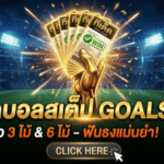 ทีเด็ดบอลสเต็ป วันนี้ 13/3/69 คัดมาแล้ว 3 ไม้ 6 ไม้ รีบดู รีบตาม รีบจัดบิลกับ GOALSIAM