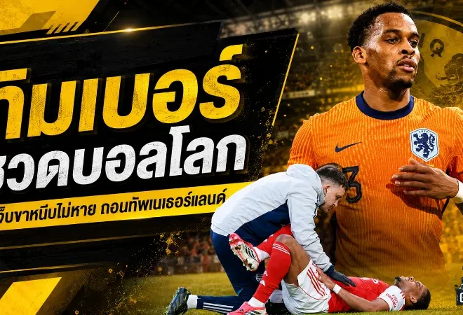 ทิมเบอร์ชวดบอลโลก 2026 เนเธอร์แลนด์สะเทือนหนักก่อนเปิดศึกใหญ่